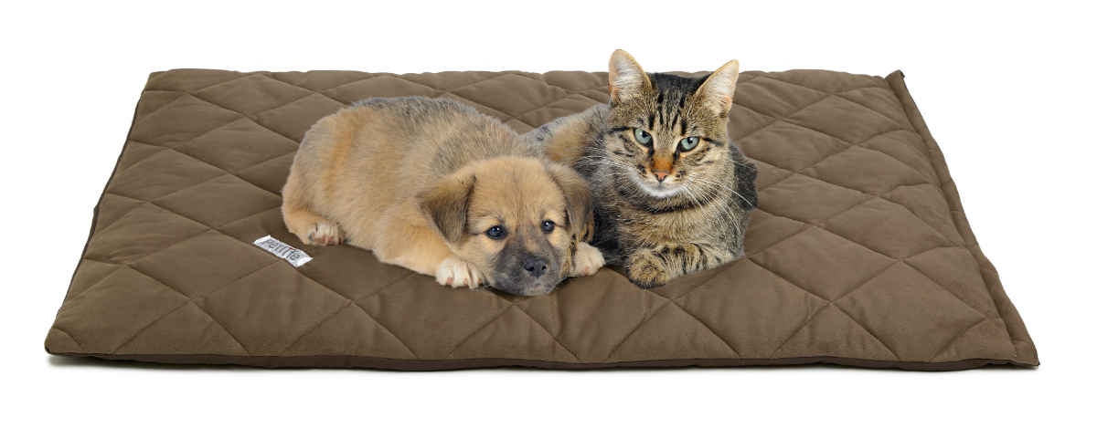 dog and cat bedding